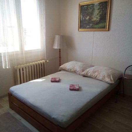 Appartement Studio Type à Plzeň Extérieur photo
