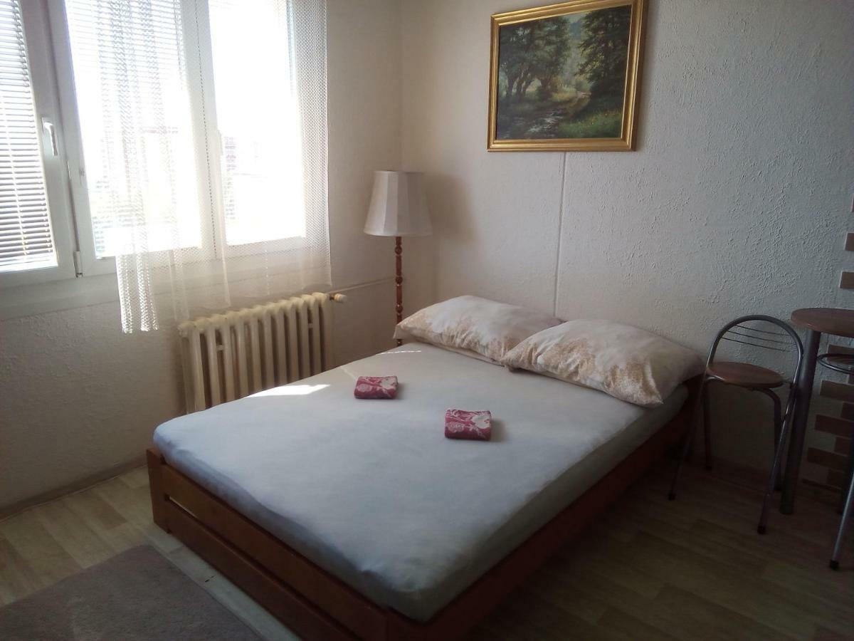 Appartement Studio Type à Plzeň Extérieur photo